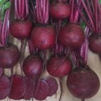 Lefroy Valley: Seed Supplier