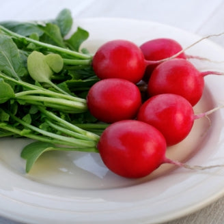 Radish