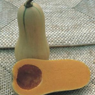 Squash