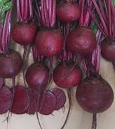 Beetroot - BUZZARD