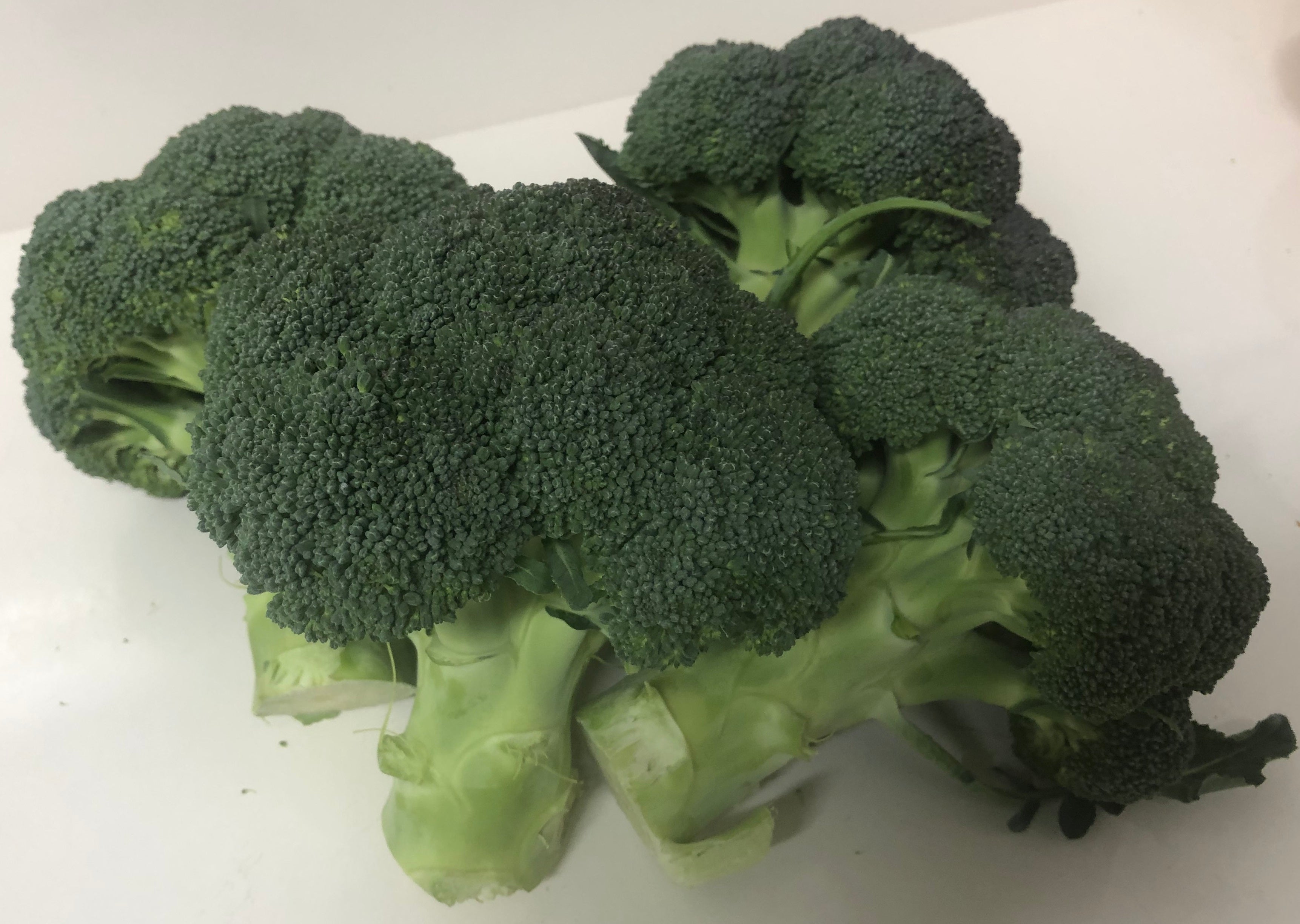 Broccoli - MARQUEZ