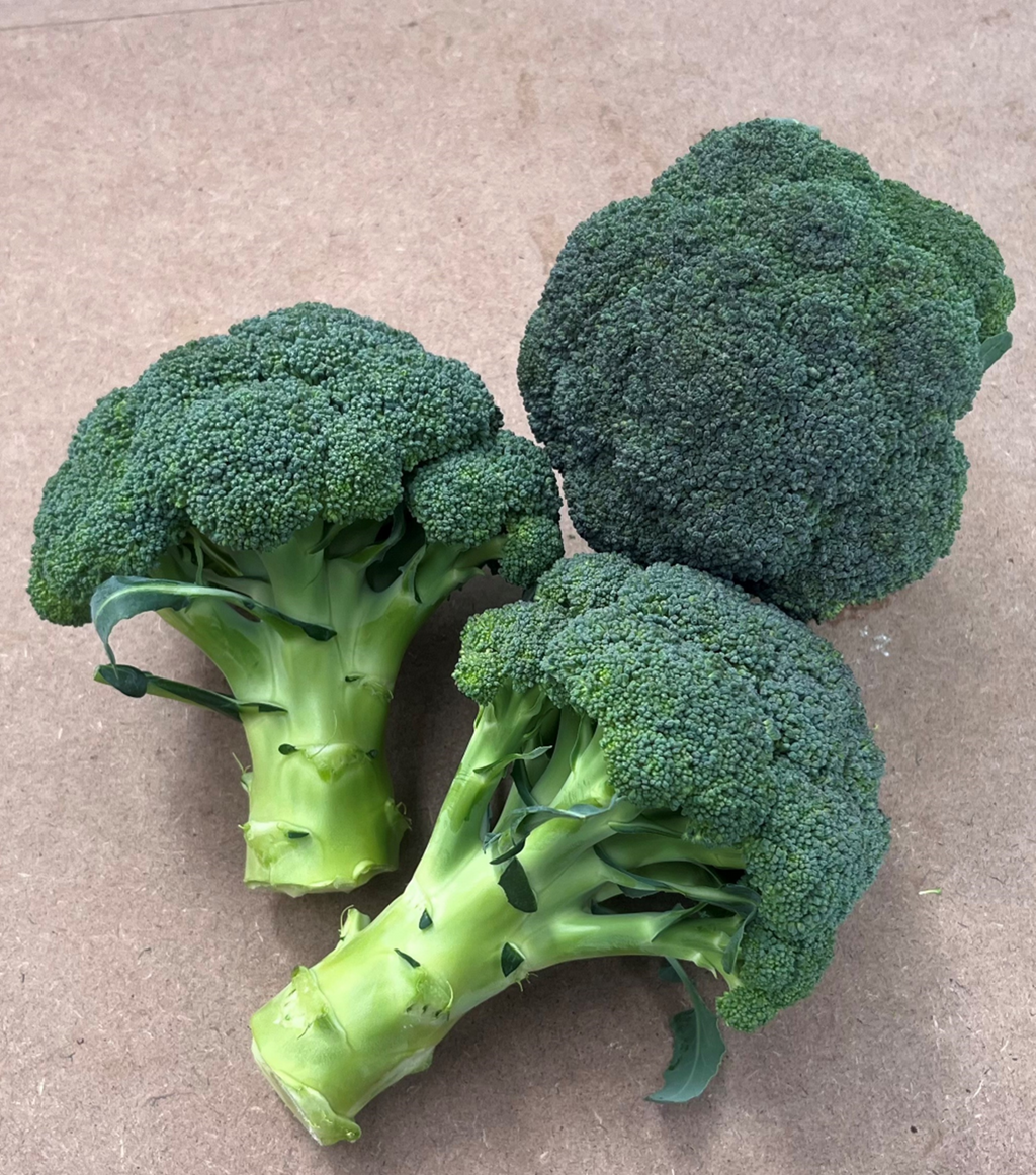 Broccoli - SANCHEZ