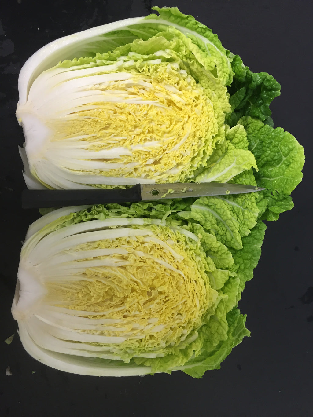 Cabbage Chinese - WARRIOR