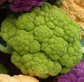 Cauliflower Coloured - EMERALDMOON