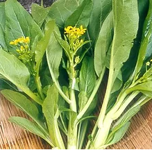 Chinese Greens Choy Sum - ZIPPY