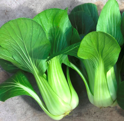 Chinese Greens Pak Choi - PARADE