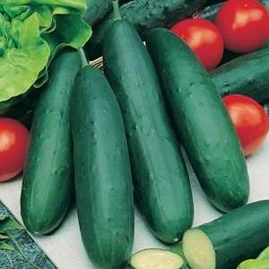 Cucumber Slicing - OUTDOOR SLICER