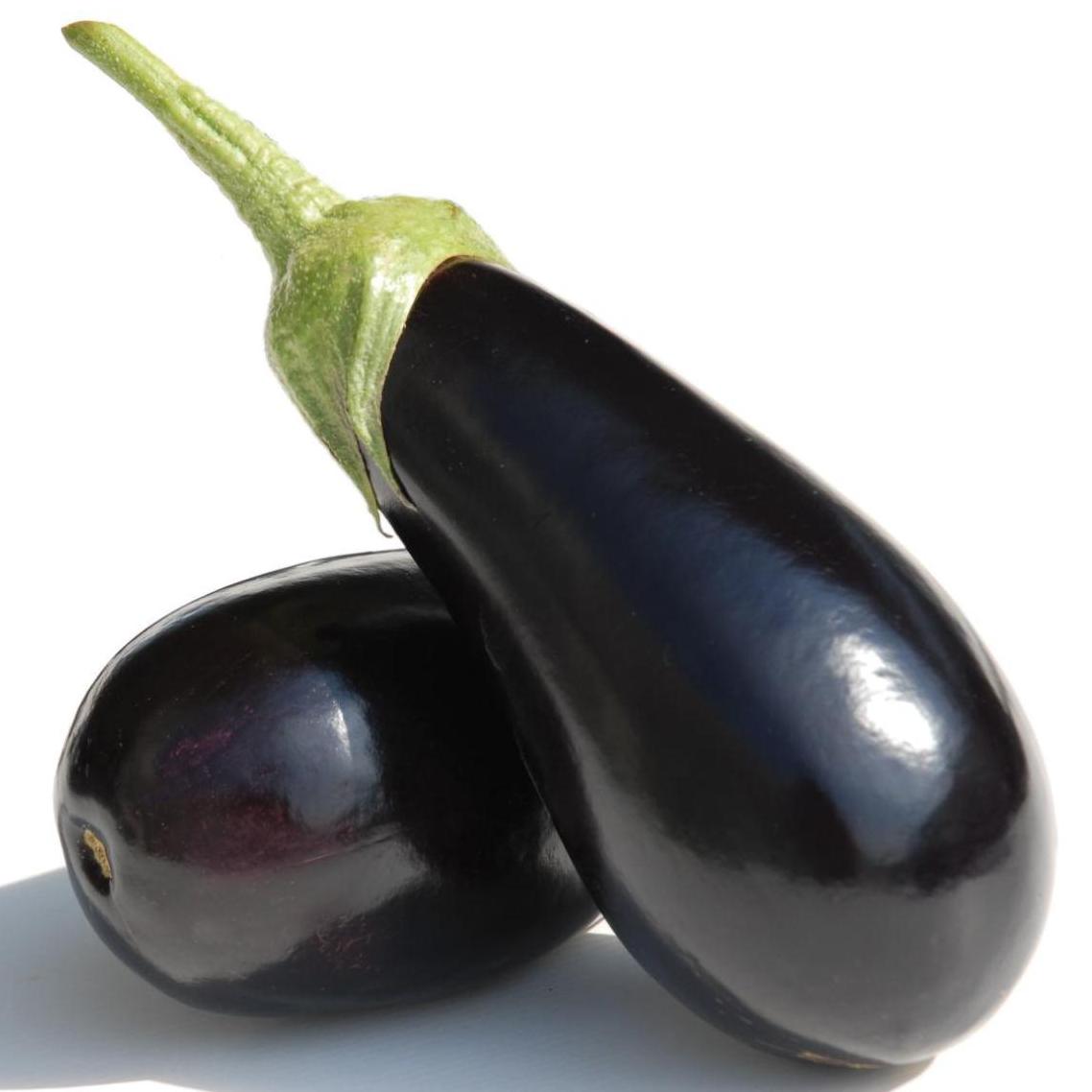 Eggplant Indoor - SIMPSON