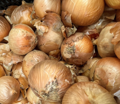 Onion Bulbing - DEV
