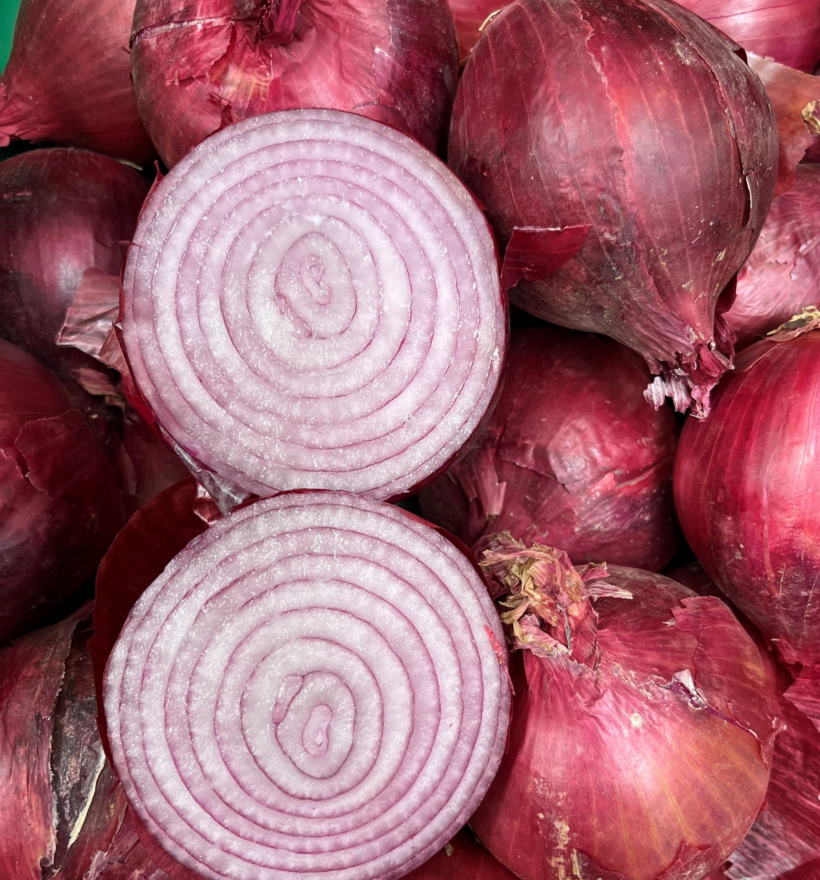 Onion Bulbing - RED ORB
