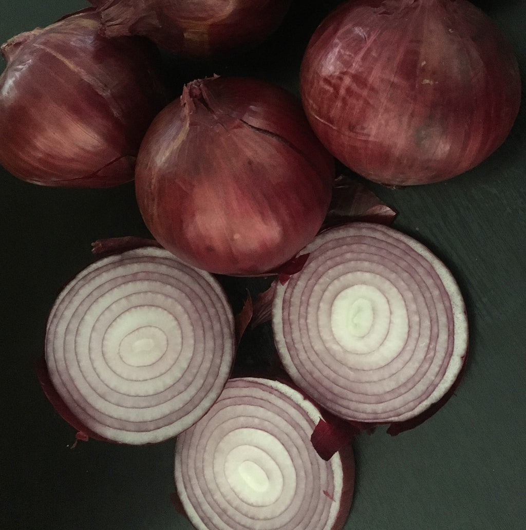 Onion Bulbing - RED PLANET