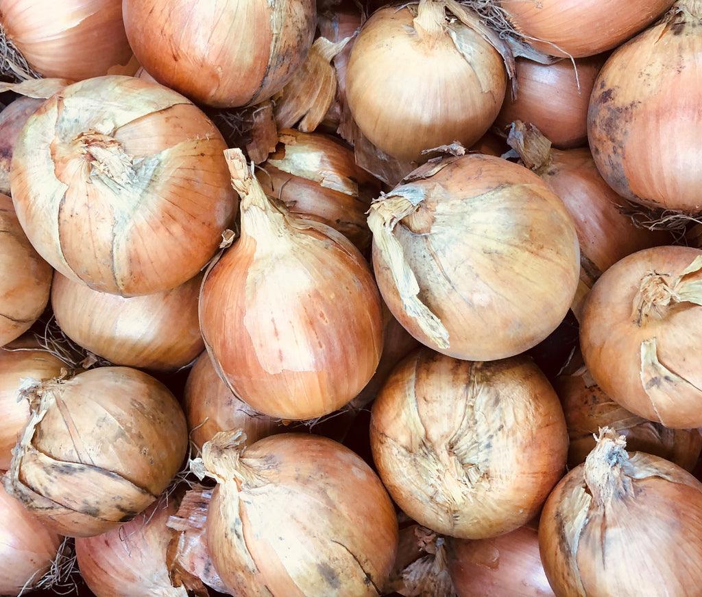 Onion Bulbing - TITAN