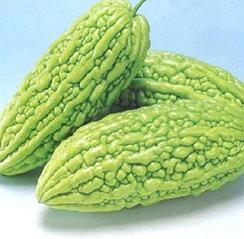 Squash Asian - PATINA