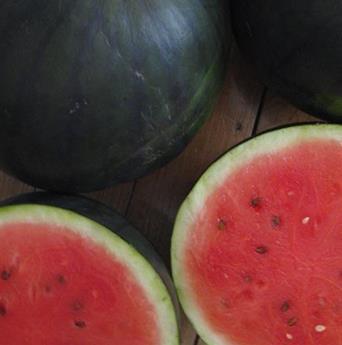 Watermelon Seeded - SUGARSWEET