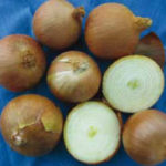 carbide-onions